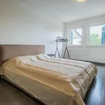 Cerovic Luxury Privacy Pet Friendly 别墅