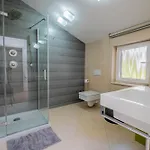 Cerovic Luxury Privacy Pet Friendly 别墅 科斯特雷纳